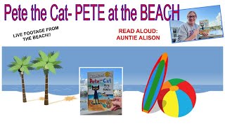 Pete the Cat Pete at the Beach will he go in the water  Live footage of the beach [upl. by Damalas]