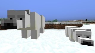 10 Fakten über Minecraft Eisbären  Polarbären [upl. by Anyrb]