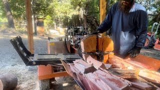 Wolfe Ridge 35 SHO with conveyor splitting beautiful Pacific Madrone firewood [upl. by Cross]