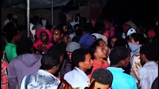 eritrean gayla 2016 fluy tezekro [upl. by Cassidy893]