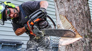 Felling Trees Near Buildings  HOW TO [upl. by Cleaves]