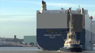 Berthing Eukor Morning Calypso at Tilbury [upl. by Kale]