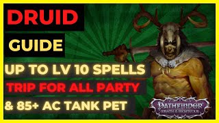 PF WOTR ENHANCED  DRUID Guide LV10 SPELLS PARTY WIDE TRIP amp Tank PET [upl. by Ttezil767]