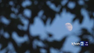 Aloha Authentic Hawaiian Moon Calendar [upl. by Azenav]