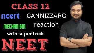 Cannizzaro reaction class 12 and its mechanisms by super trick [upl. by Samled937]