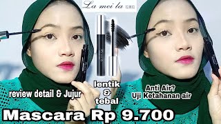 Review Jujur Mascara Lameila  Beneran Tahan Air  by Amalia Novianti [upl. by Lemak]