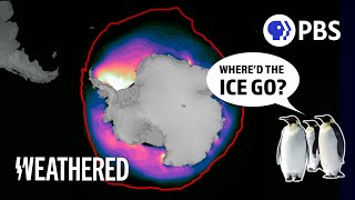 Was This Really a 1 in 700000000000 Year Event  Antarctic sea ice melting fast [upl. by Barri]