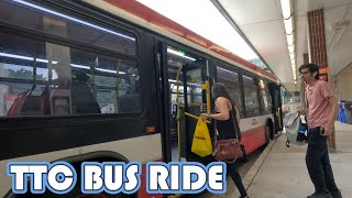 TTC 82 Bus Ride from Rosedale Station to Summerhill Round Trip 8572 [upl. by Rdnaskela783]