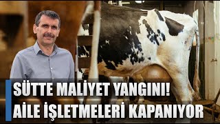 Sütte Maliyet Yangını quotBu Fiyatlara İnekler Kesilir Aile İşletmeleri Kapanırquot  AGRO TV HABER [upl. by Vivien]