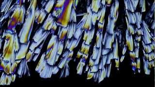 Timelapse of Crystals Growing [upl. by Peednas]