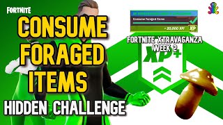 Consume 30 Foraged Items HIDDEN CHALLENGE  Fortnite Xtravaganza [upl. by Yraunaj]