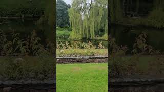 pond at coombe abbey [upl. by Enia]