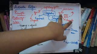 ACOUSTIC REFLEX or STAPEDIAL REFLEX a part of IMPEDANCE AUDIOMETRY important seq made easy [upl. by Marmaduke432]