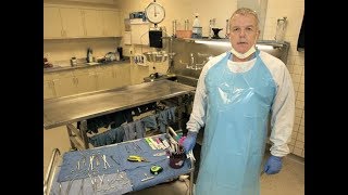 Real Stories  Death Unexplained  UK Coroner Documentary  Contains disturbing Scenes [upl. by Stilu]