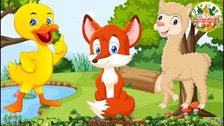 Happy Animal Moments Llama Fox Duck  Animals sound [upl. by Devondra]