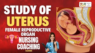 Study of uterus  Uterus  primary aspects of uterine studies  Uterine transplants for women [upl. by Aerdnael607]