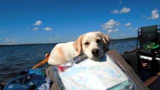 Canoe Camping  8 days on Canadas Dumoine River [upl. by Nikki]