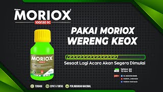 Virtual Launching MORIOX 100150 SC [upl. by Yeo]