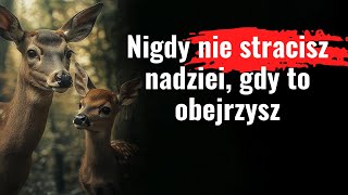 Nigdy nie trać nadziei  Motywacyjna historia która zmieni Twoje życie [upl. by Aileahcim857]