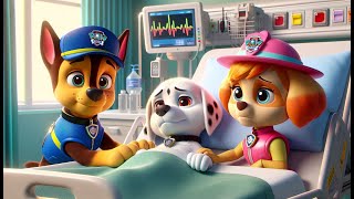 Paw Patrol Ultimate Rescue  MARSHALL Got Sick Please Dont Give Up Very Sad Story  Rainbow 3 [upl. by Lorac]