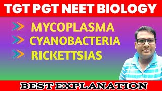 Mycoplasma  Cyanobacteria  Rickettsia  Lower botany one shot [upl. by Rhyner]