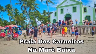 Praia Dos Carneiros Em Tamandaré Pernambuco Julho 2024 [upl. by Lamej317]