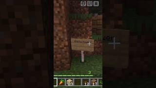 My Shetty tower in minecraft Day 1 of playing minecraft part1 gaming minecraft timepasskartehai [upl. by Leamaj]