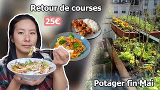 RETOUR DE COURSES 25€  POTAGER FIN MAI [upl. by Karlen22]