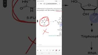 antimetabolite  pyrimidine analogs [upl. by Znerol632]