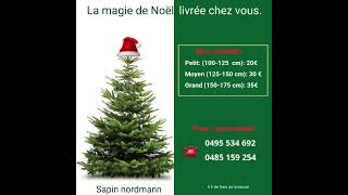 Sapin de Noel  Le choix du sapin de Noel [upl. by Efar]