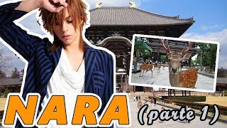 Cose da vedere a NARA in Giappone 23 [upl. by Othilia206]