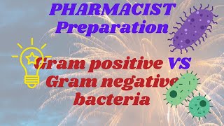 Gram positive VS Negative bacteria I MHSRB Pharmacist I Microbiology for Pharmacist exam I Pharmacy [upl. by Oniotna]