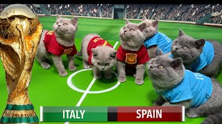 LETS UNLEASH CATS KITTENS WORLD CUP [upl. by Breana792]