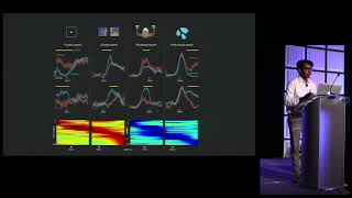 Naveen Sendhilnathan  Midlateral Purkinje neurons participate in visuomotor learning Cosyne 2018 [upl. by Baalman868]