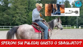 Speroni sui Puledri Giusto o Sbagliato [upl. by Danna]