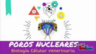 POROS NUCLEARES [upl. by Rosenthal]