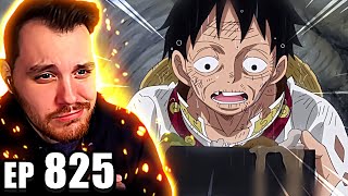 One Piece Episode 825 REACTION  A Liar Luffy and Sanji [upl. by Yelsnia]