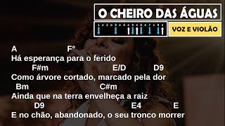 O CHEIRO DAS ÁGUAS  Diante do Trono quotVoz e Violãoquot  Cifra Simplificada [upl. by Newbill]