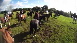 Flowerhill Equestrian Centre Ireland 2012 [upl. by Ateikan478]