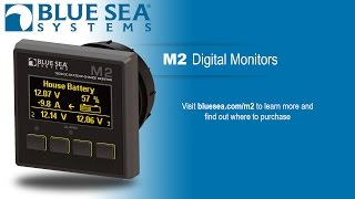 Blue Sea Systems M2 OLED Monitors [upl. by Aivitnahs]