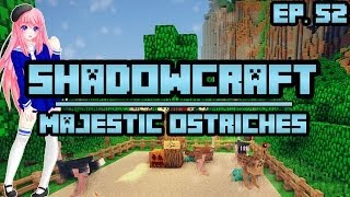 Majestic Ostriches  ShadowCraft  Ep 52 [upl. by Anstice]