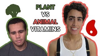 VEGANS CANT ABSORB VITAMINS Plant VS Animal Nutrition [upl. by Ativad]