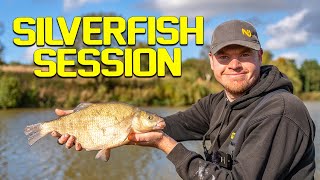 Pole Fishing For Skimmers  session Video [upl. by Shaffer]