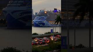 cruises cruiselife cruiseships [upl. by Nyvar]