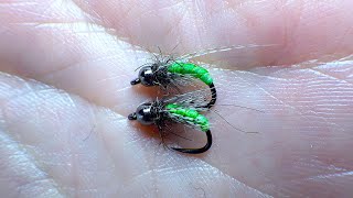 Tying a Catgut Green Caddis Pupa with Davie McPhail [upl. by Salli]