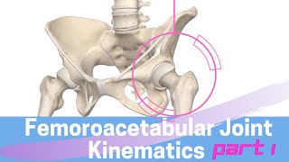 Hip Joint Biomechanics Femoroacetabular Joint Kinematics Open Kinematic Chain [upl. by Squier]