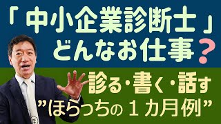 中小企業診断士の仕事『診る・書く・話す』ほらっちの一か月例 [upl. by Fernanda]