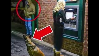 Shocking ATM Footage Dog’s Terrifying Action Against Attacker [upl. by Mahseh140]