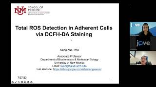 ROS Detection in Adherent Cells via DCFH DA Staining [upl. by Irneh]