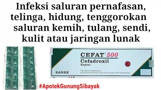 ANTIBIOTIK UNTUK INFEKSI BAKTERI  CEFAT 500 [upl. by Kletter171]